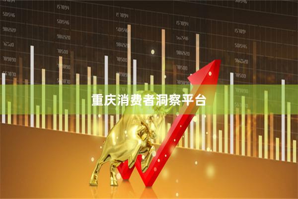 重庆消费者洞察平台