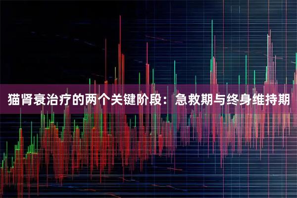 猫肾衰治疗的两个关键阶段:急救期与终身维持期