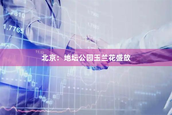 北京：地坛公园玉兰花盛放