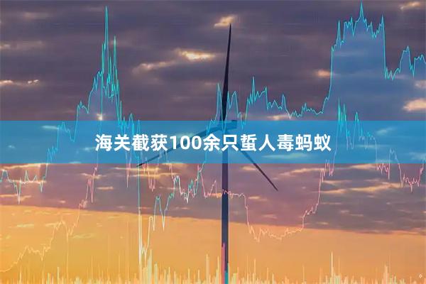 海关截获100余只蜇人毒蚂蚁