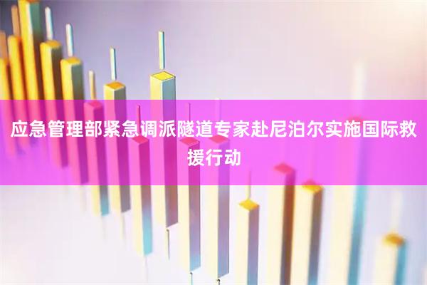 应急管理部紧急调派隧道专家赴尼泊尔实施国际救援行动